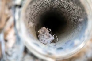 Dryer Vent Cleaning Services Houston, Texas